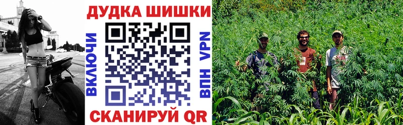 Канабис Грайворон