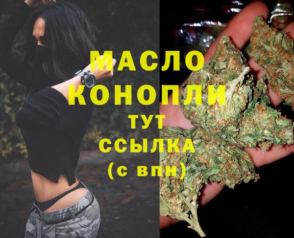 сатива Верея