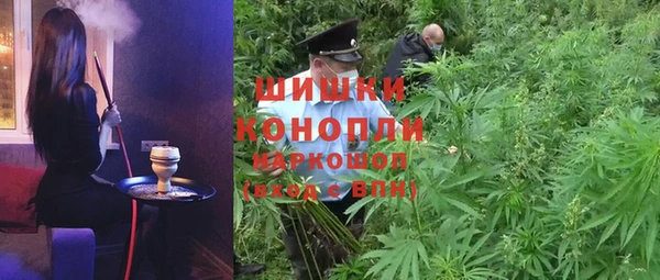 сатива Верея