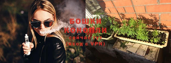 сатива Верея