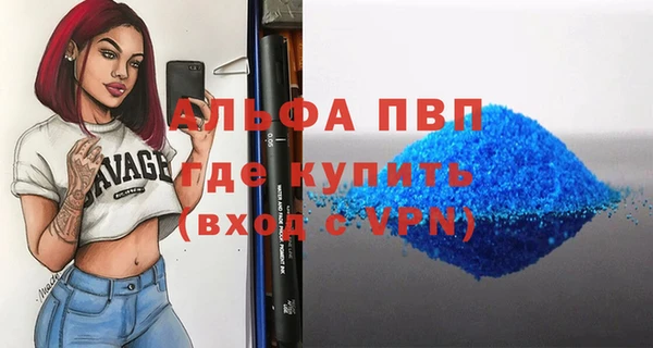 сатива Верея