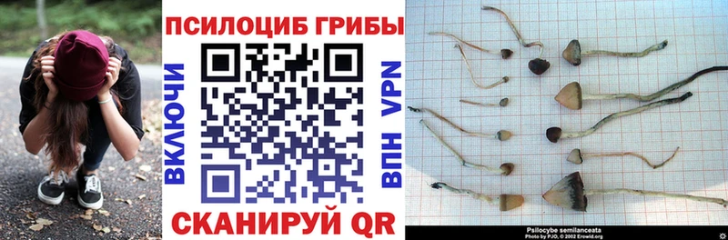 Галлюциногенные грибы Cubensis  Грайворон 